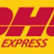 DHL Fast shipping